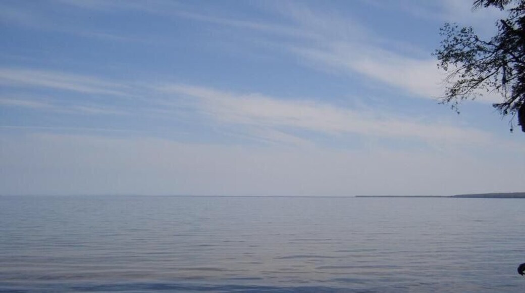 Peaceful little day retreat - close to home. Great walking path and plenty of ducks to watch!