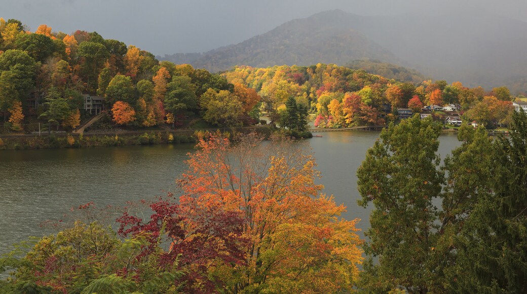 Lake Junaluska