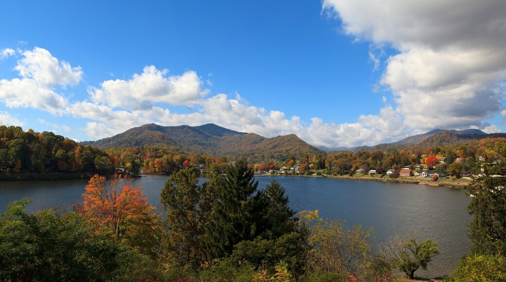 Lake Junaluska Panorama