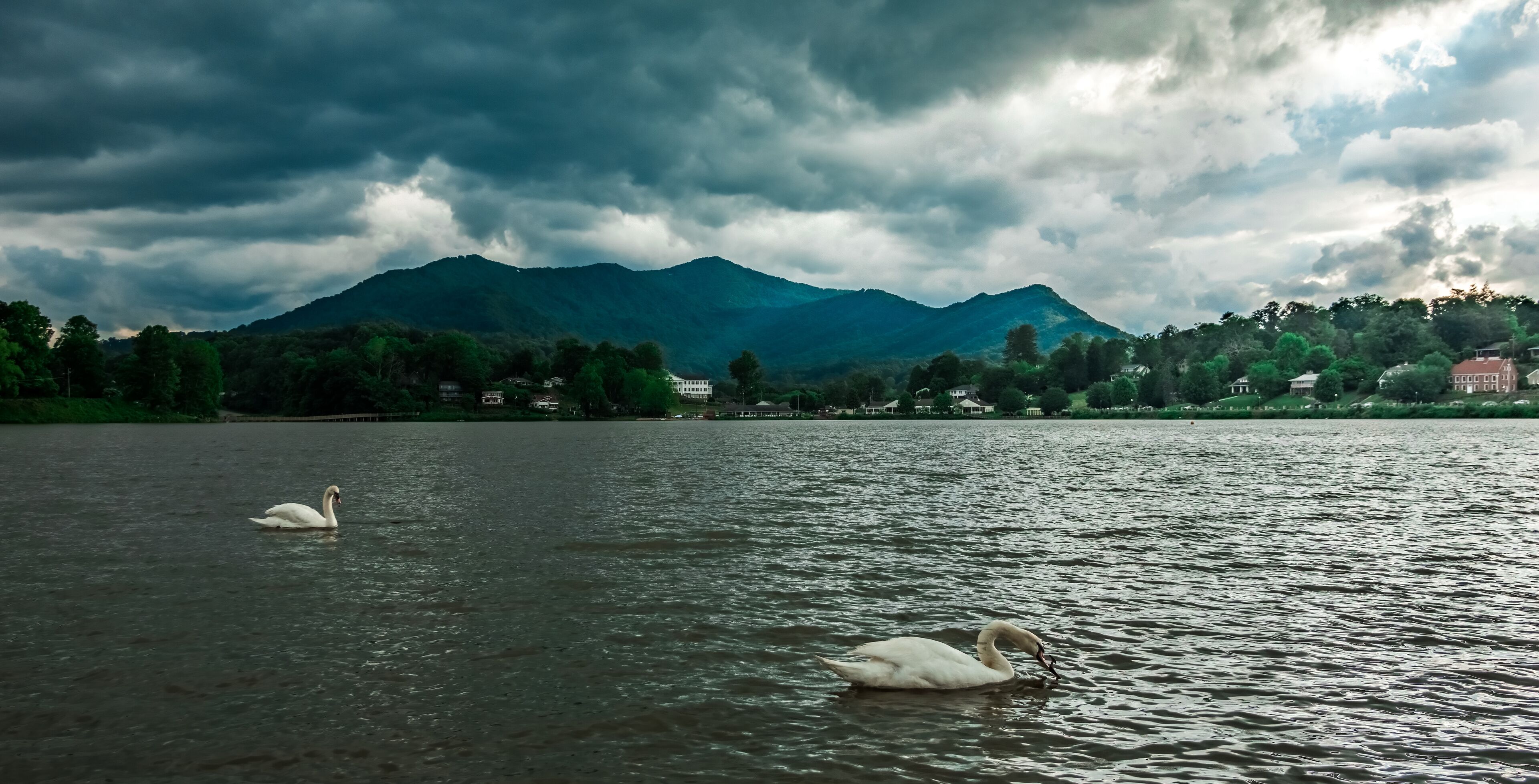 beautiful nature scenes around lake junaluska north carolina