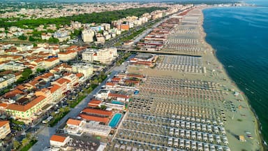 An aerial view of a coastal city with a long beachfront lined with umbrellas and beach chairs, a dense urban area with historic buildings, and a clear blue sea.