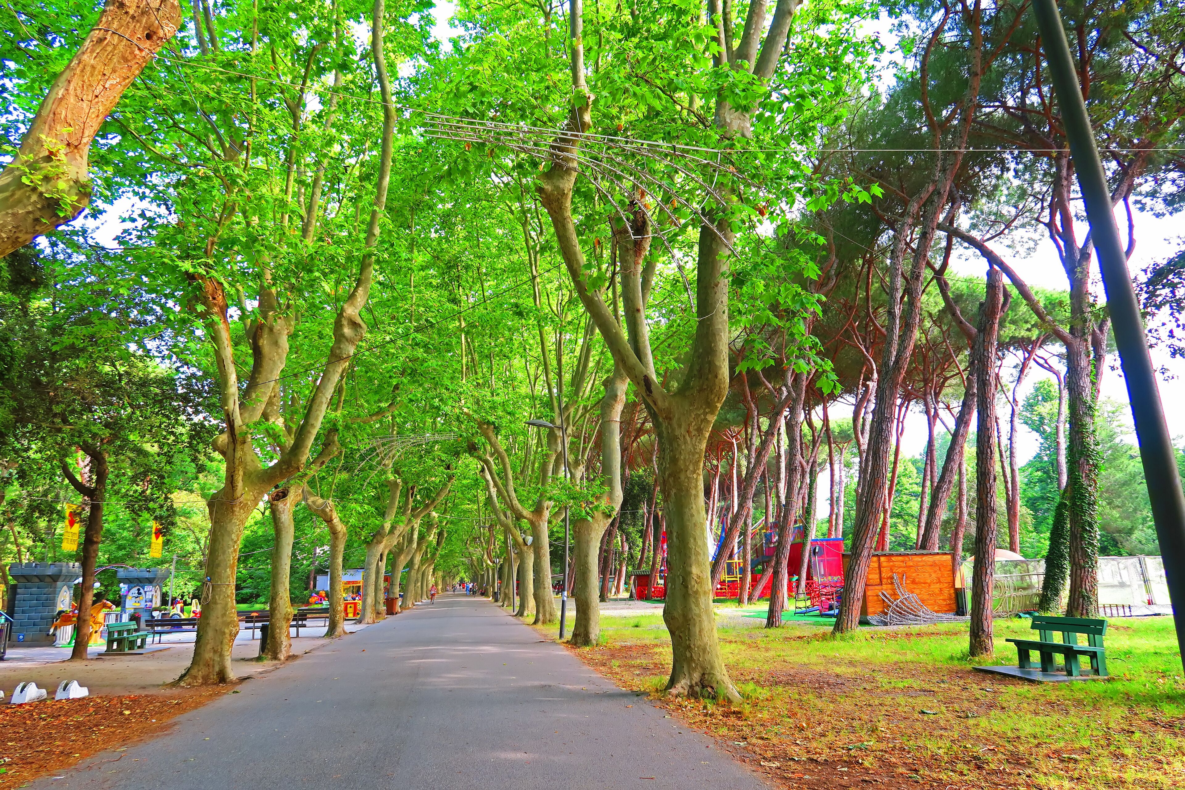 Camaiore