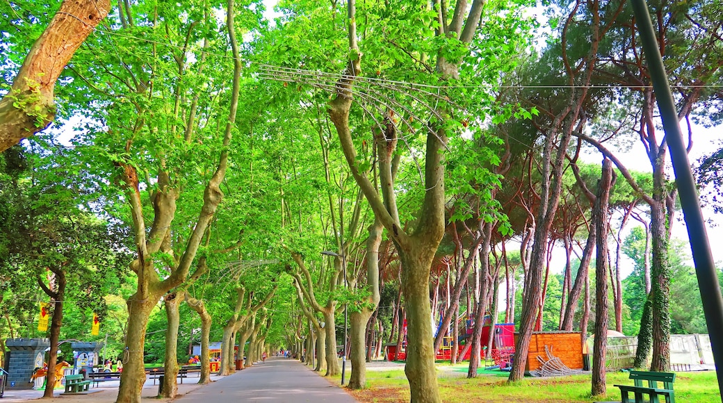 Camaiore