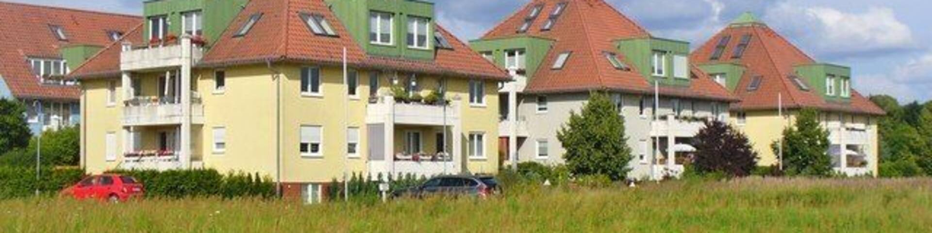 Bergfelde - Elfriedestrasse