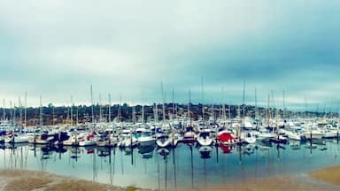 Calm before the storm