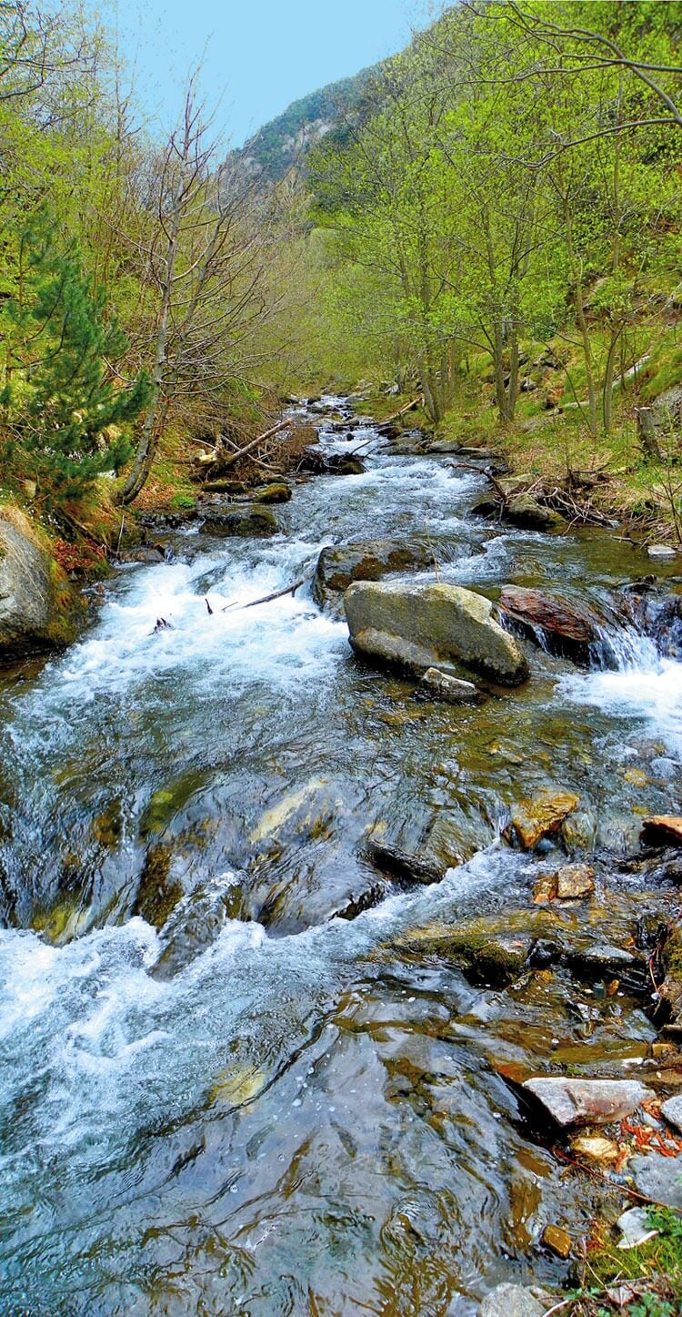 El Segre prop del seu naixement