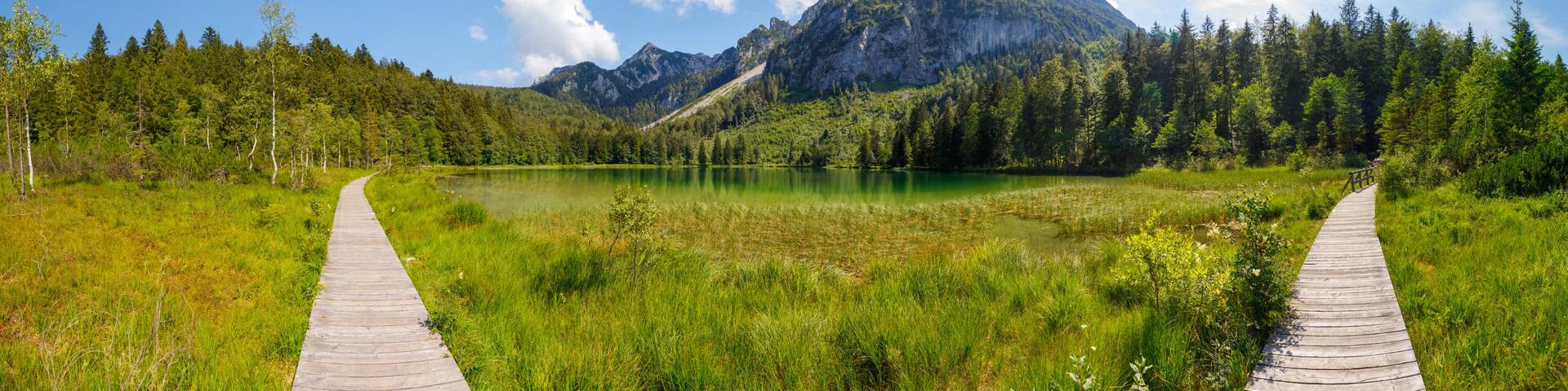 Lake Frillensee on a sunny summer day, Inzell, Bavaria