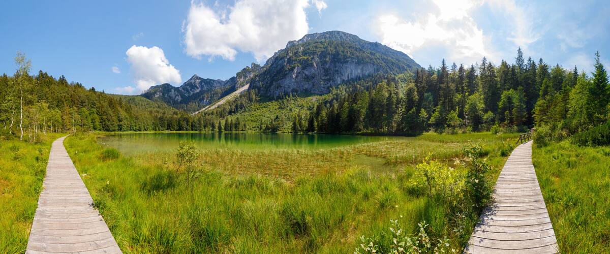 A wooden boardwalk leading to a lake surrounded by dense forest and mountains.