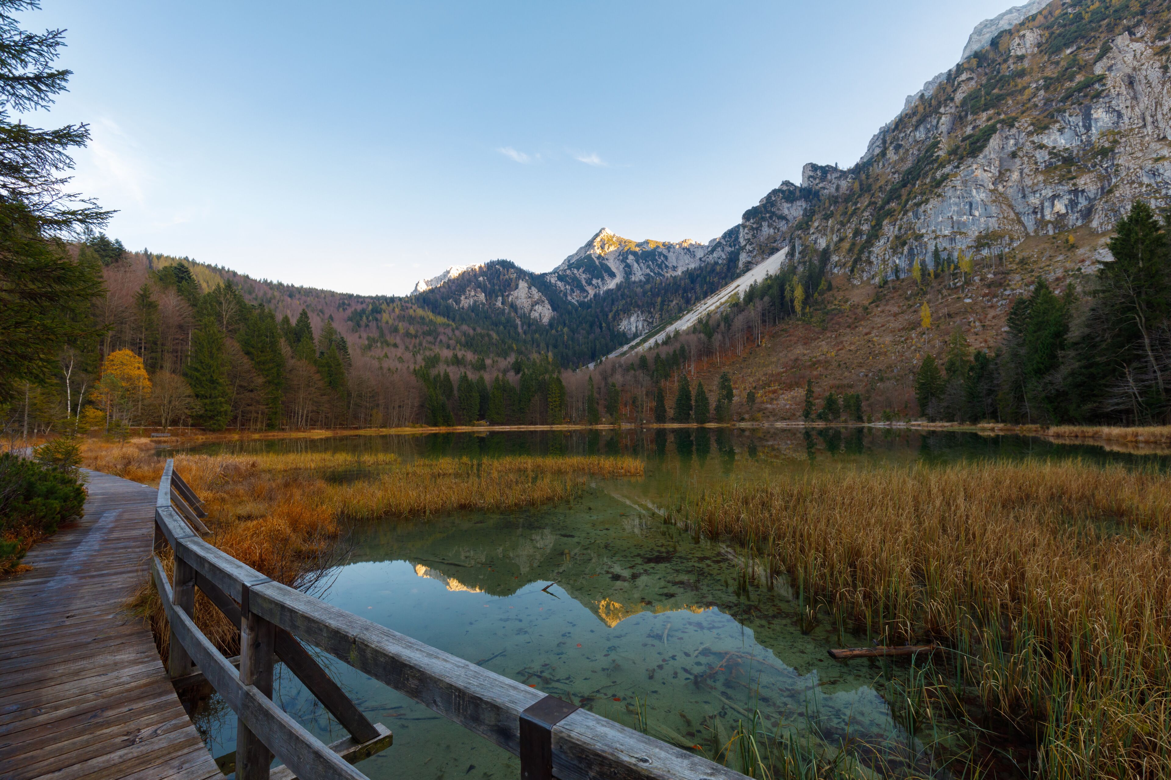 Reflection on Lake Frillensee, Inzell, Bavaria, Germany at sunset in fall with Mount Hochstaufen in Background