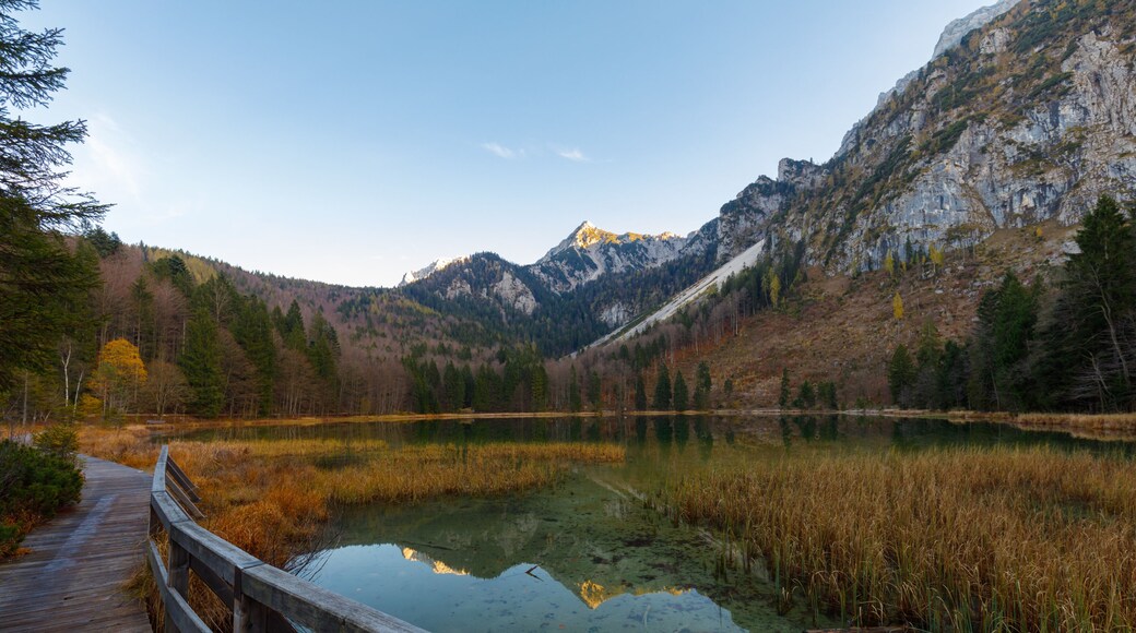 Reflection on Lake Frillensee, Inzell, Bavaria, Germany at sunset in fall with Mount Hochstaufen in Background
