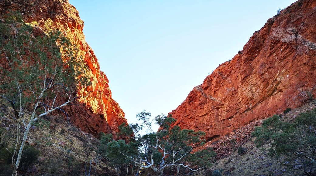 Located in the West MacDonnell Ranges, this beautiful spot has a permanent waterhole and is home to black-footed wallabies and birds. Easily accessible via a bitumen road, the walk to the waterhole is only about 20 mins.