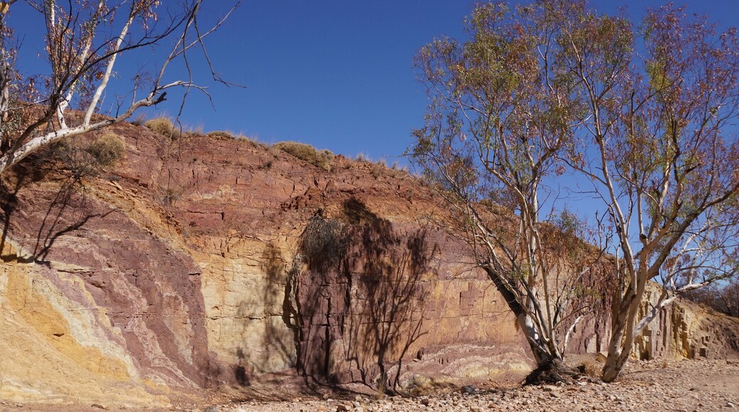 Still culturally significant for the Western Arrernte people, ochre has been collected from here for thousands of years. This can also be used to access Section 8/9 of the Larapinta trail.