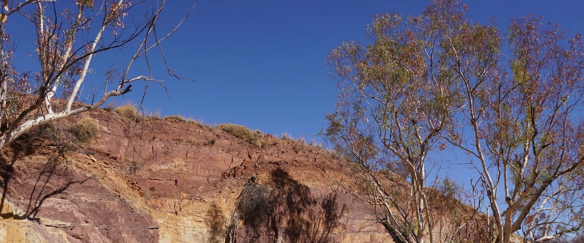 A rocky hillside with sparse vegetation and a clear blue sky.