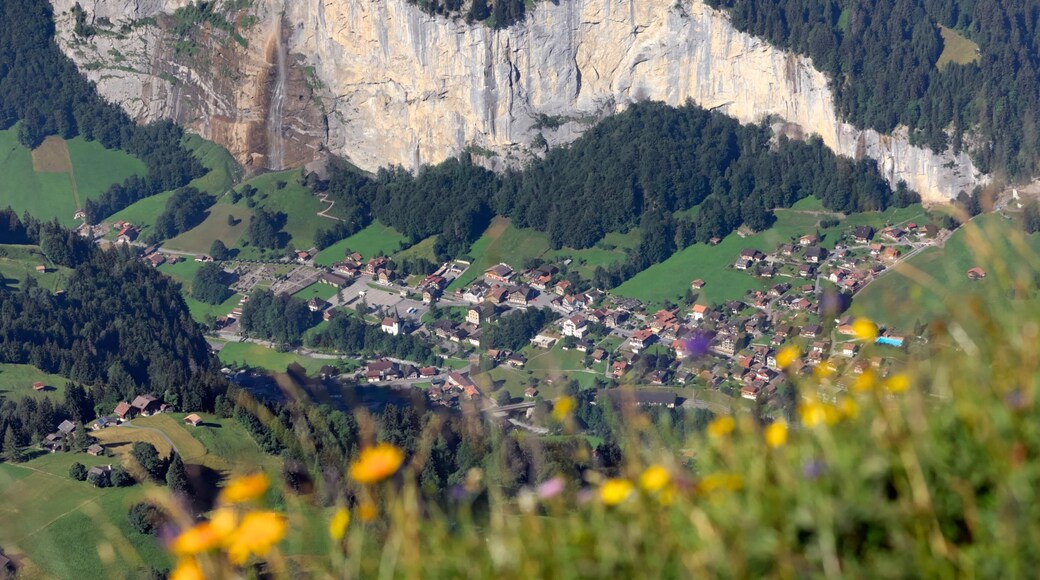 Berner Alpen welches beinhaltet Kleinstadt oder Dorf
