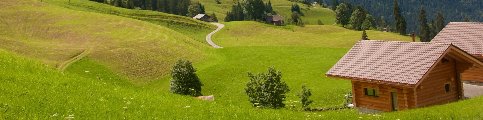 Alpes bernoises qui includes brume ou brouillard, maison et scĂšnes tranquilles
