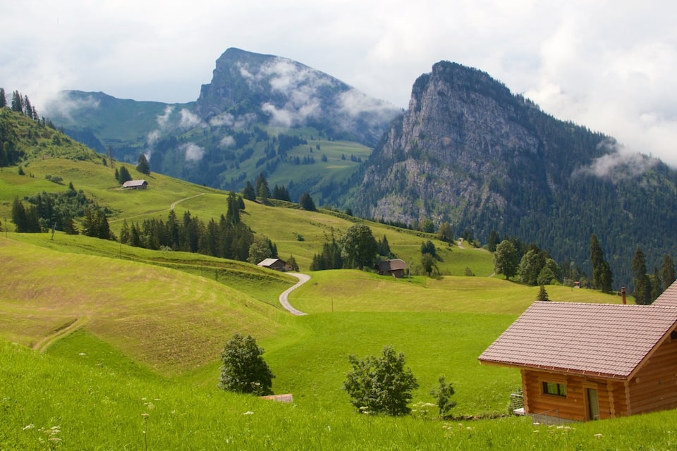Un paysage montagneux avec des champs verdoyants, une route sinueuse et des maisons en bois.