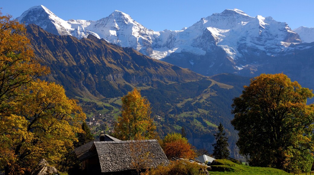 Bernese Alps showing tranquil scenes