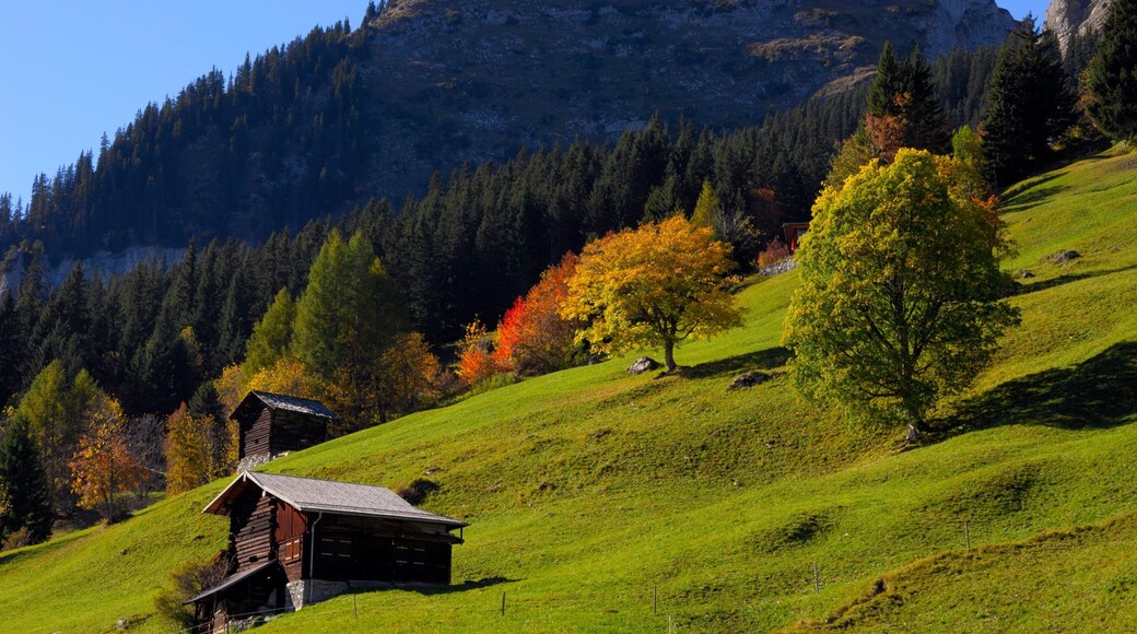 Bernese Alps which includes tranquil scenes and a house