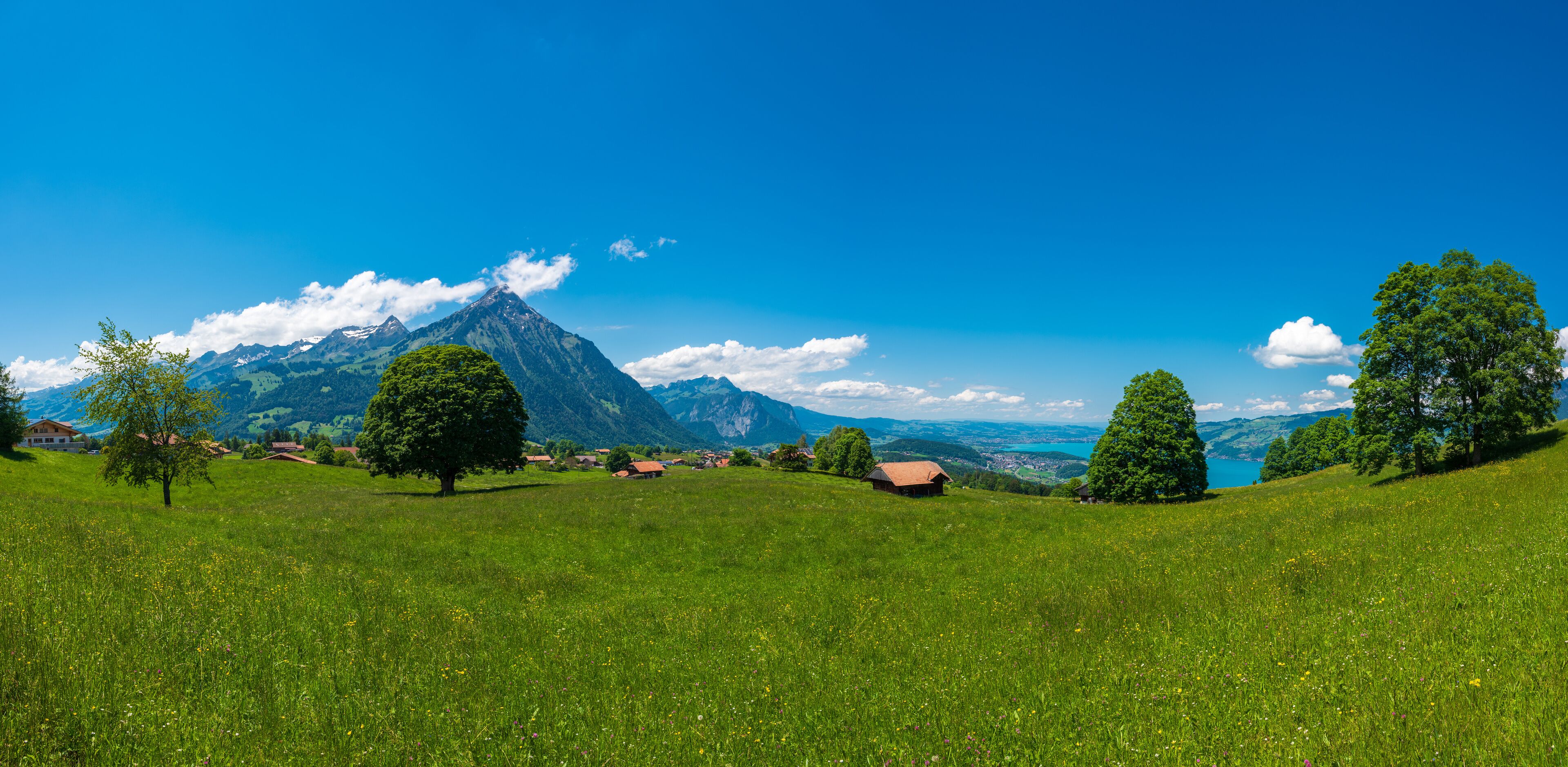斯皮茲附近阿席
