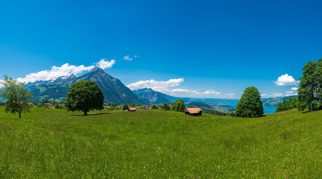 斯皮茲附近阿席