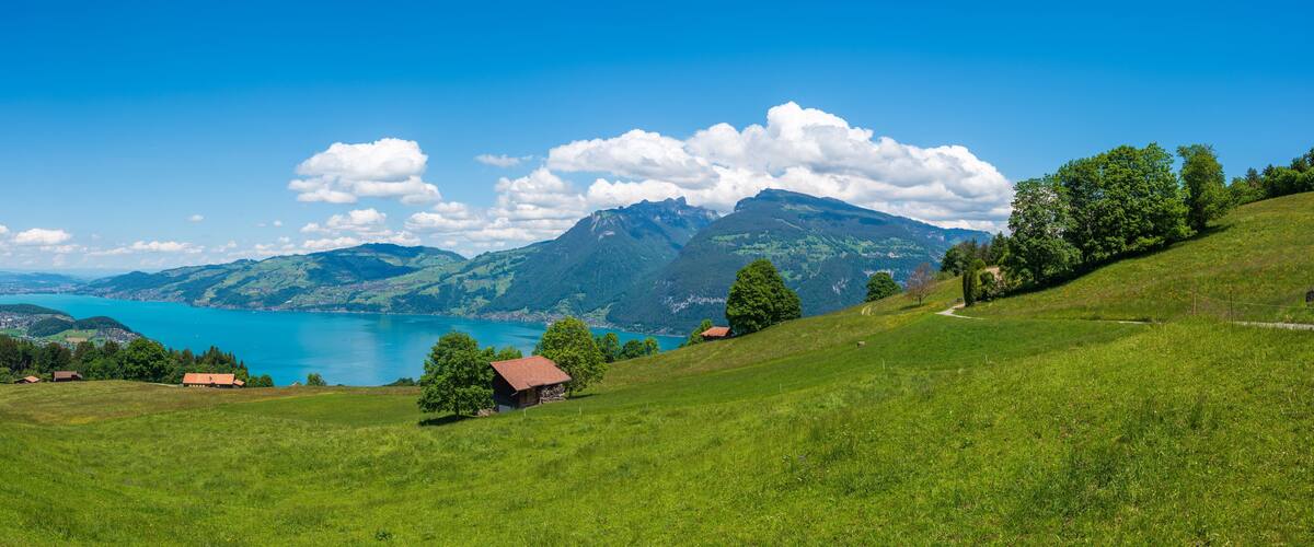 A green hillside with a lake, mountains, and a small house.
