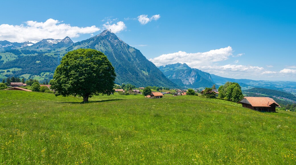 斯皮茲附近阿席