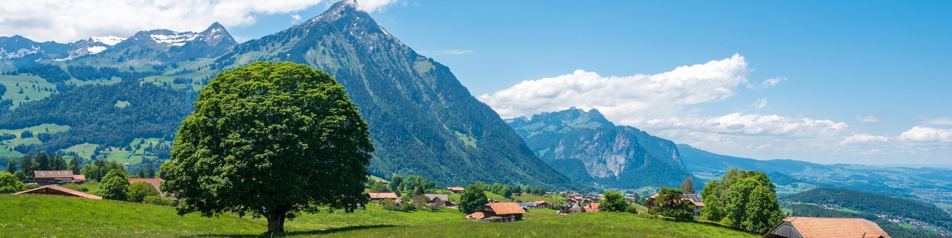 Paisagem montanhosa com uma árvore destacada em primeiro plano, uma aldeia com casas de telhado vermelho e picos nevados ao fundo.