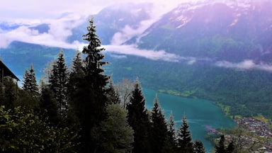 I took this on May 28th at Switzerland's Harder Kulm! It's a great viewpoint at 1,321 m (4,334 ft) in the Berner Oberland. The Berner Oberland being one of the most picturesque parts of Switzerland. I only got to see a slice of it and I'm so glad I did :). One of those slices was at this top station. It's an easy funicular ride from Interlaken. I got there right before the fog engulfed everything!! Literally just a few minutes later this was all swallowed up by fog! But, though covered in atmosphere, I still got incredible mountain & lake views. Including views to the right side, as well, with even more mountains and a lovely valley! There is also Lake Thun on the right side but I wasn't able to see it - the fog already claimed the land! And, the lake you see here is Lake Brienz. I'd love to return someday and get more clear views. But, I can't complain, really. I loved the magic mood! The next day was my final one in Switzerland - I headed to the iconic Matterhorn!