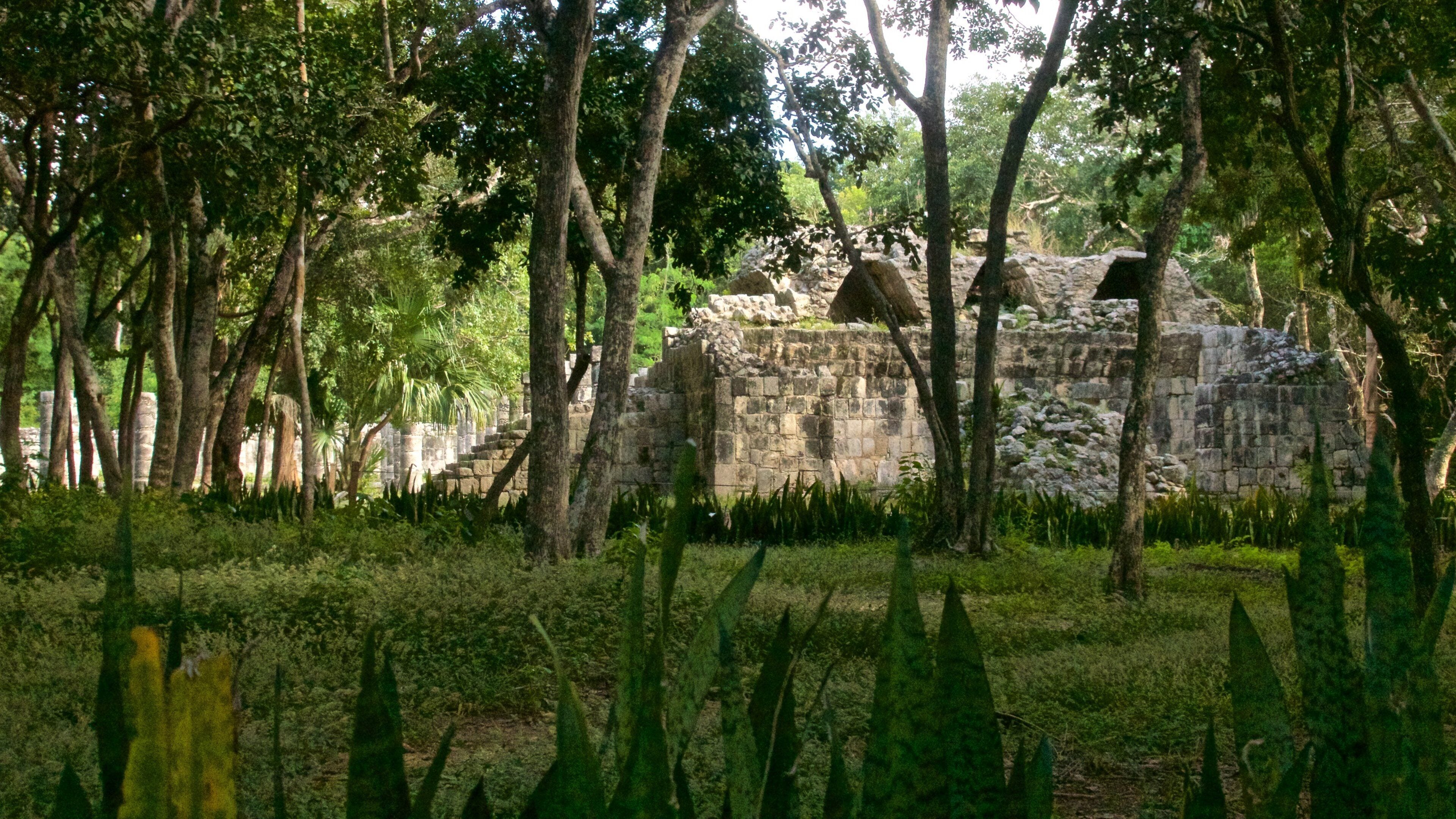Chichen Itza showing heritage architecture and a ruin