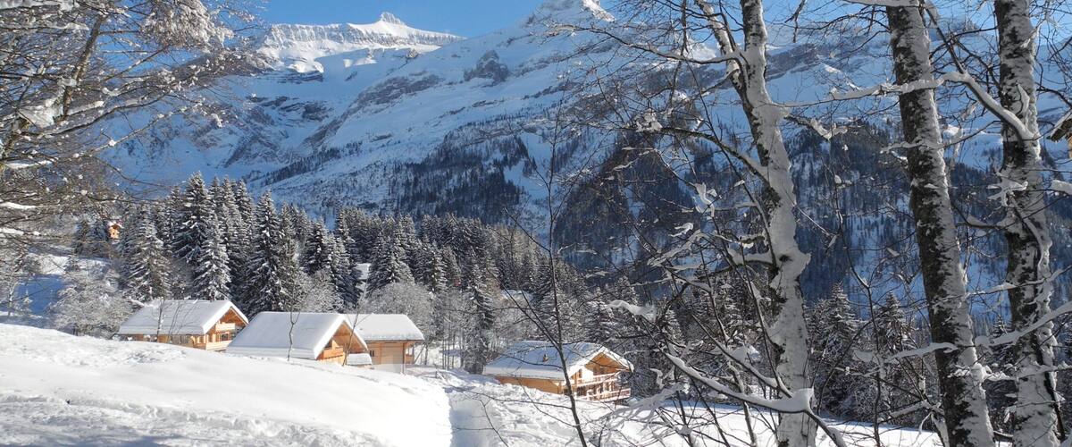萊迪亞布勒雷 其中包括 雪 和 山岳
