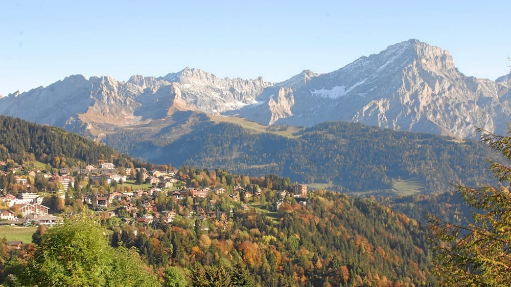 Villars-sur-Ollon featuring a small town or village, mountains and tranquil scenes