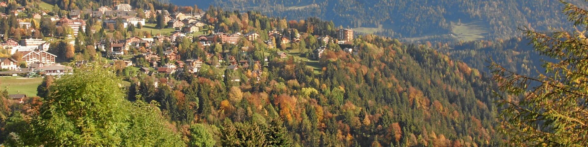 Villars-sur-Ollon featuring a small town or village, mountains and tranquil scenes