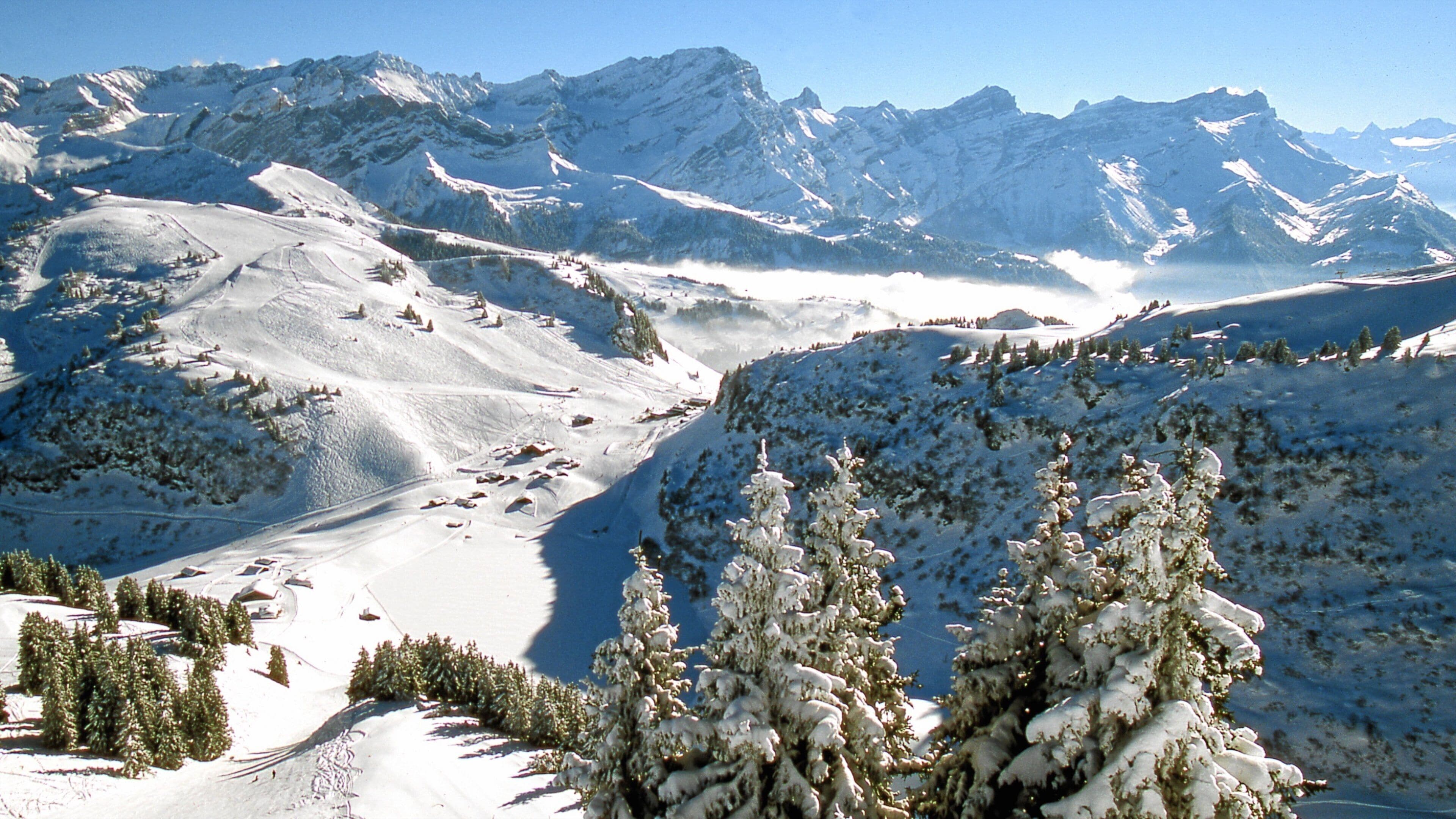 Villars som viser snø, landskap og skoglandskap