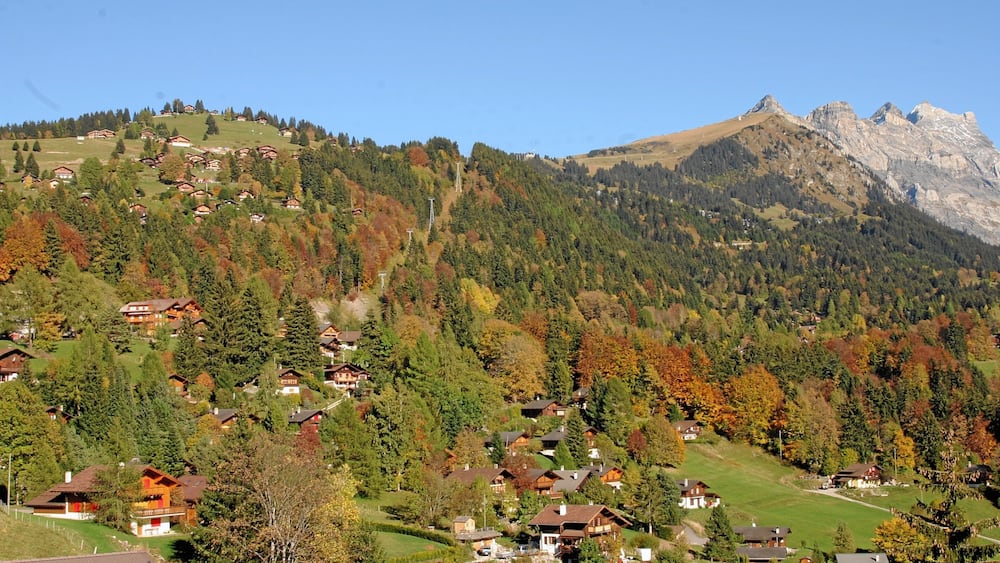 Un village de montagne où les maisons sont nichées au milieu des arbres, avec un sommet imposant qui se détache sur un ciel dégagé.