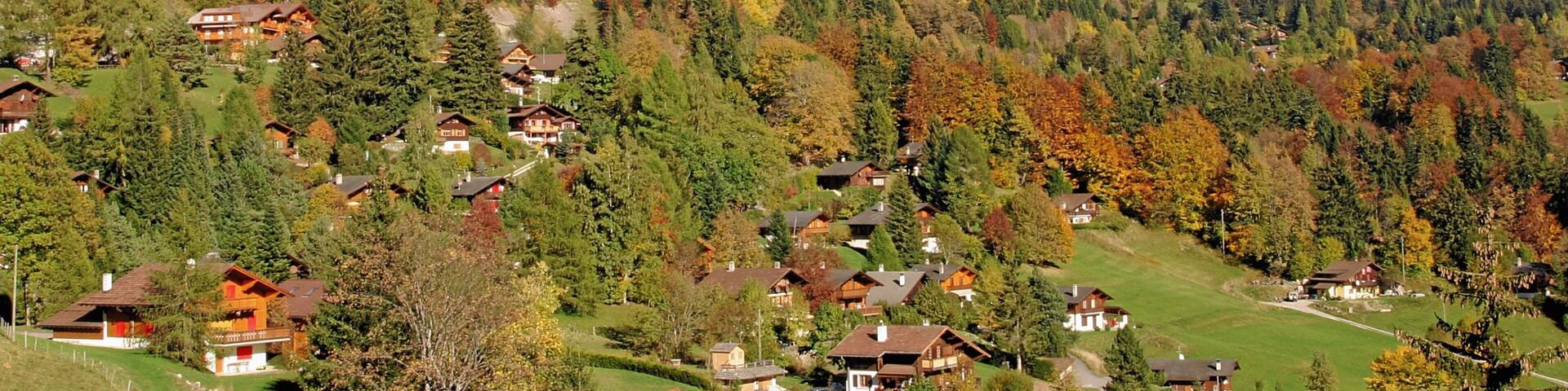 A mountainous village with houses nestled among trees, a prominent peak, and a clear sky.