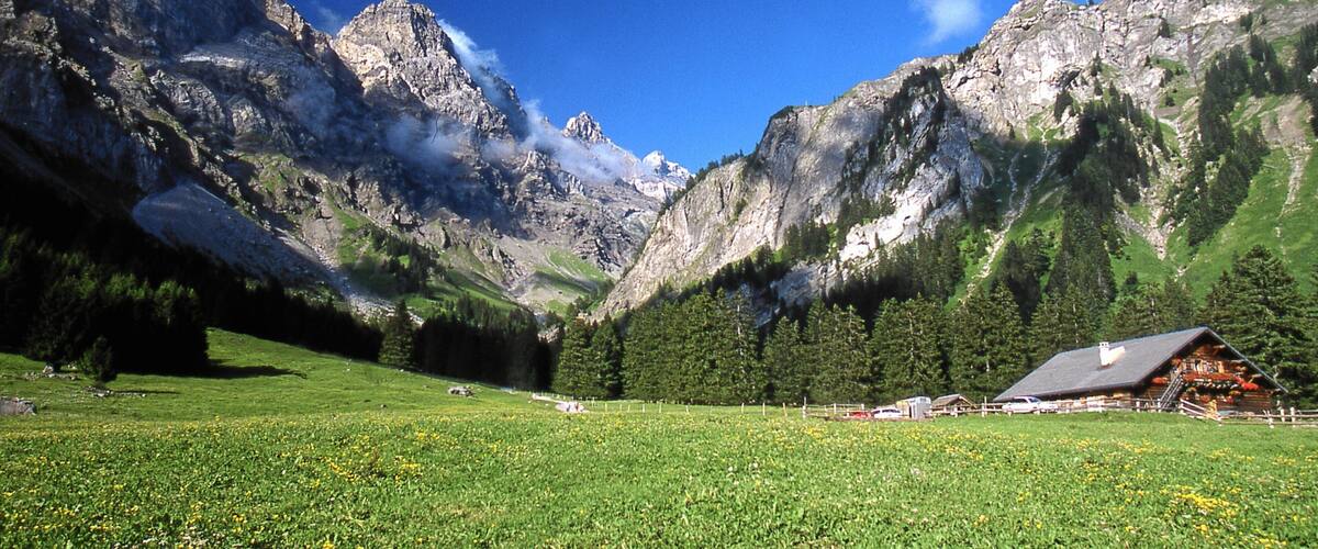 Villars-sur-Ollon featuring mountains