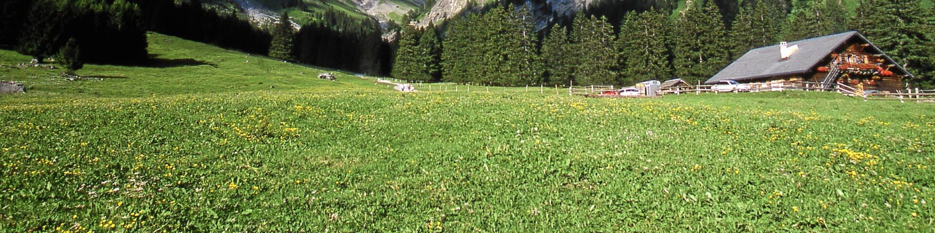 Villars-sur-Ollon featuring mountains