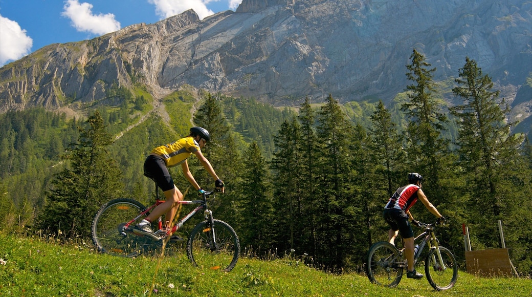 Villars showing mountains, forests and mountain biking