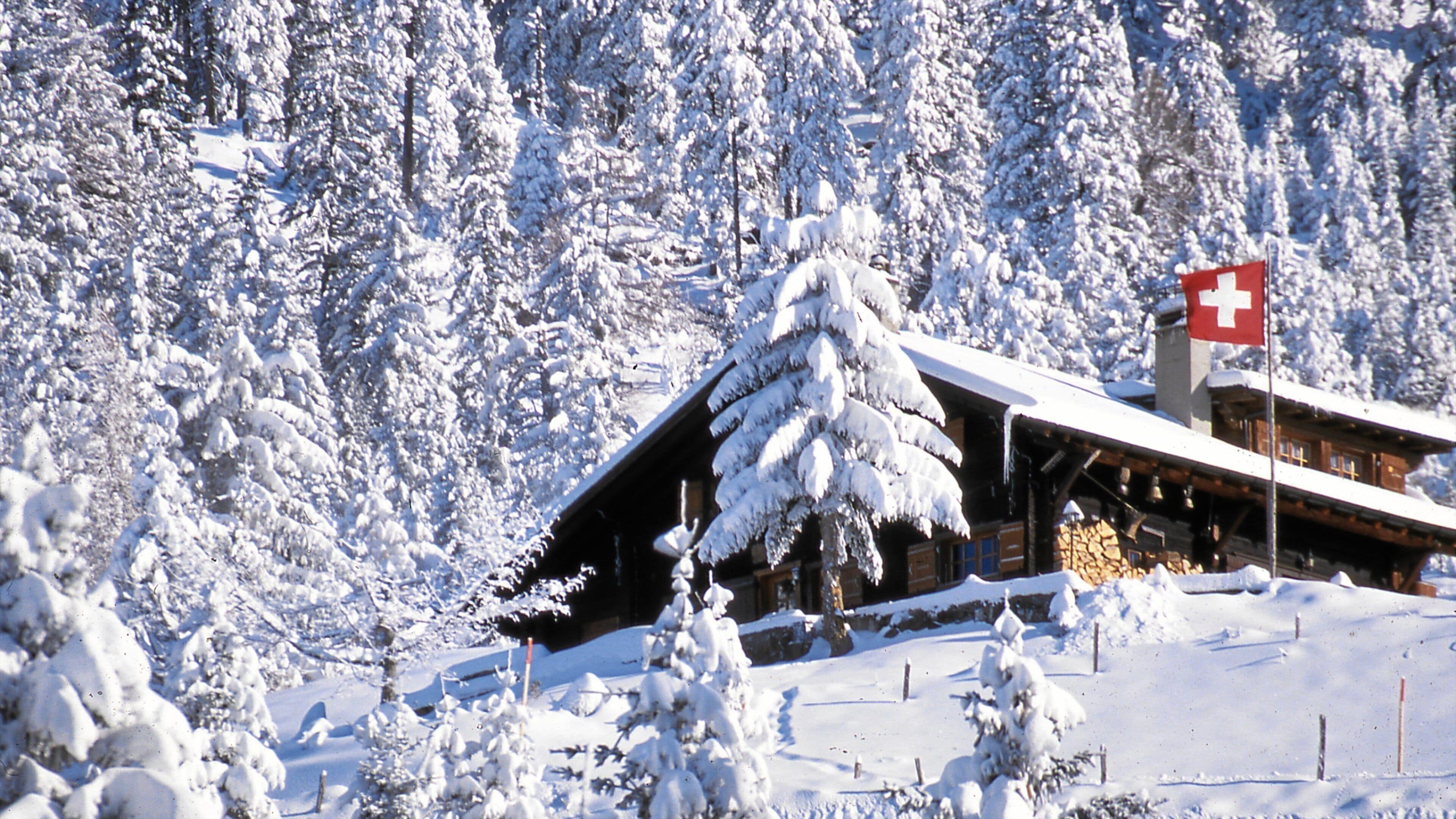 A snow-covered wooden chalet with a Swiss flag on top, surrounded by dense snow-laden trees.