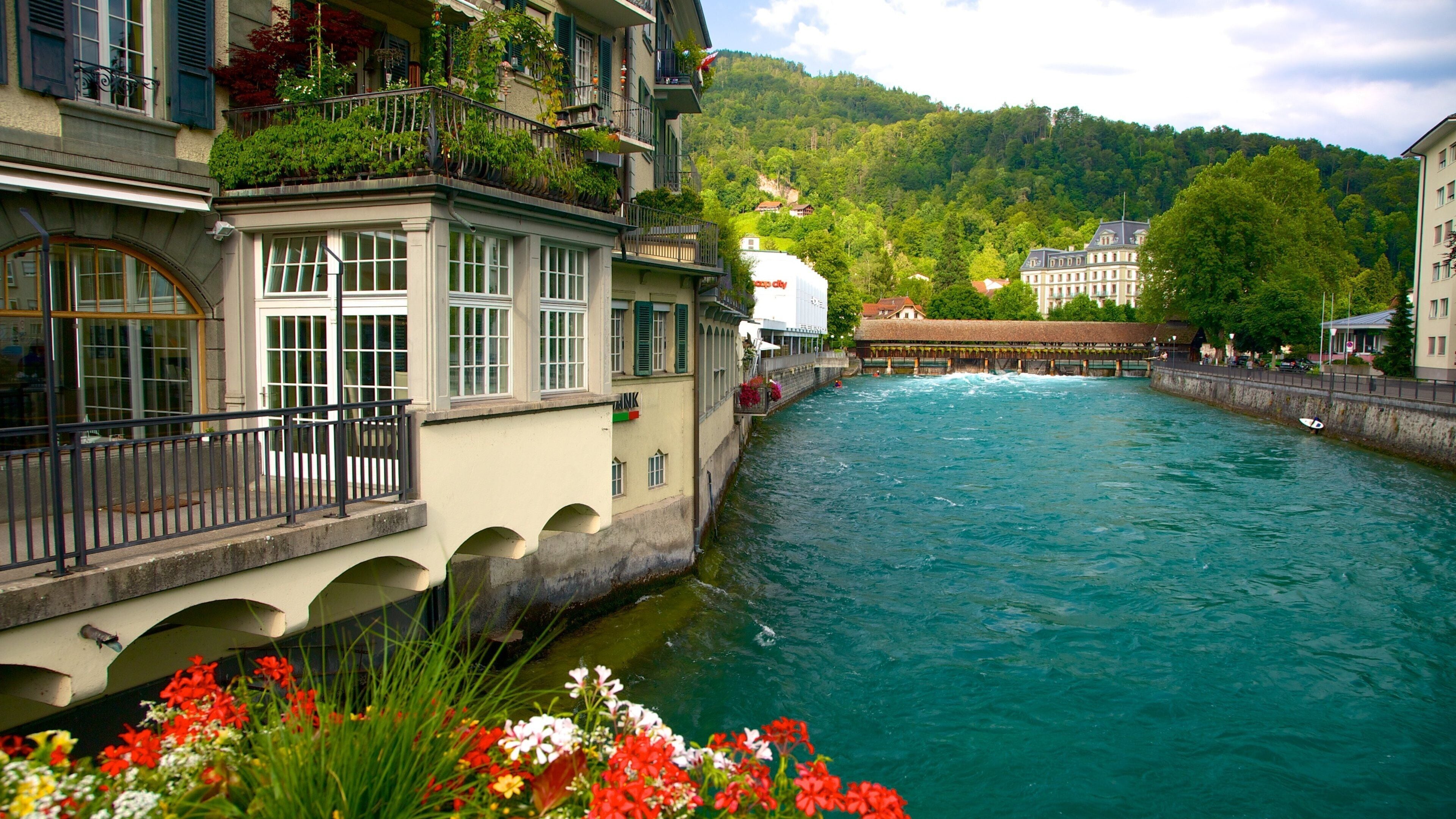 Thun featuring a house, a river or creek and flowers