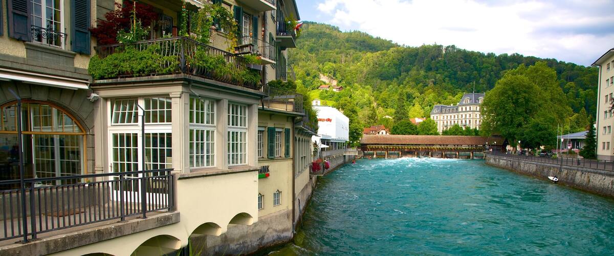 Thun which includes a house, a river or creek and flowers