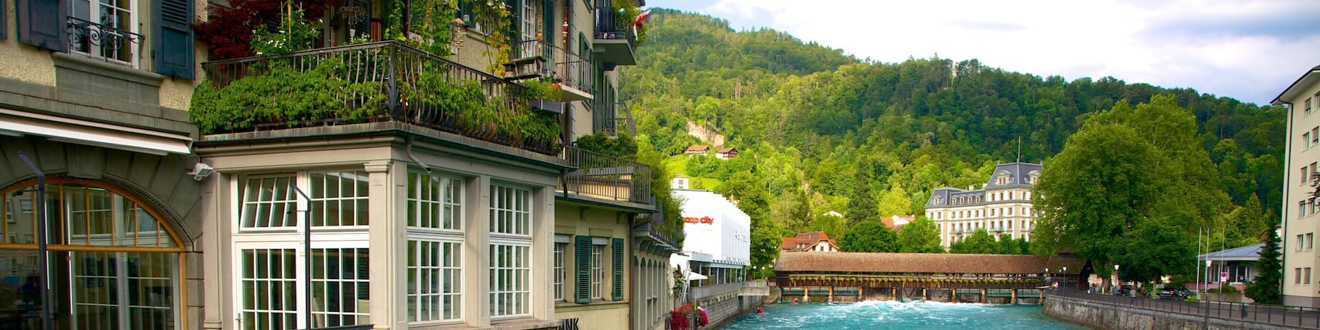 Thun featuring a river or creek, flowers and a house