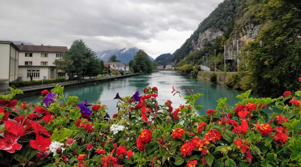 The Interlaken lake, as beautiful as the place itself! #Trovember #lakes #swiss