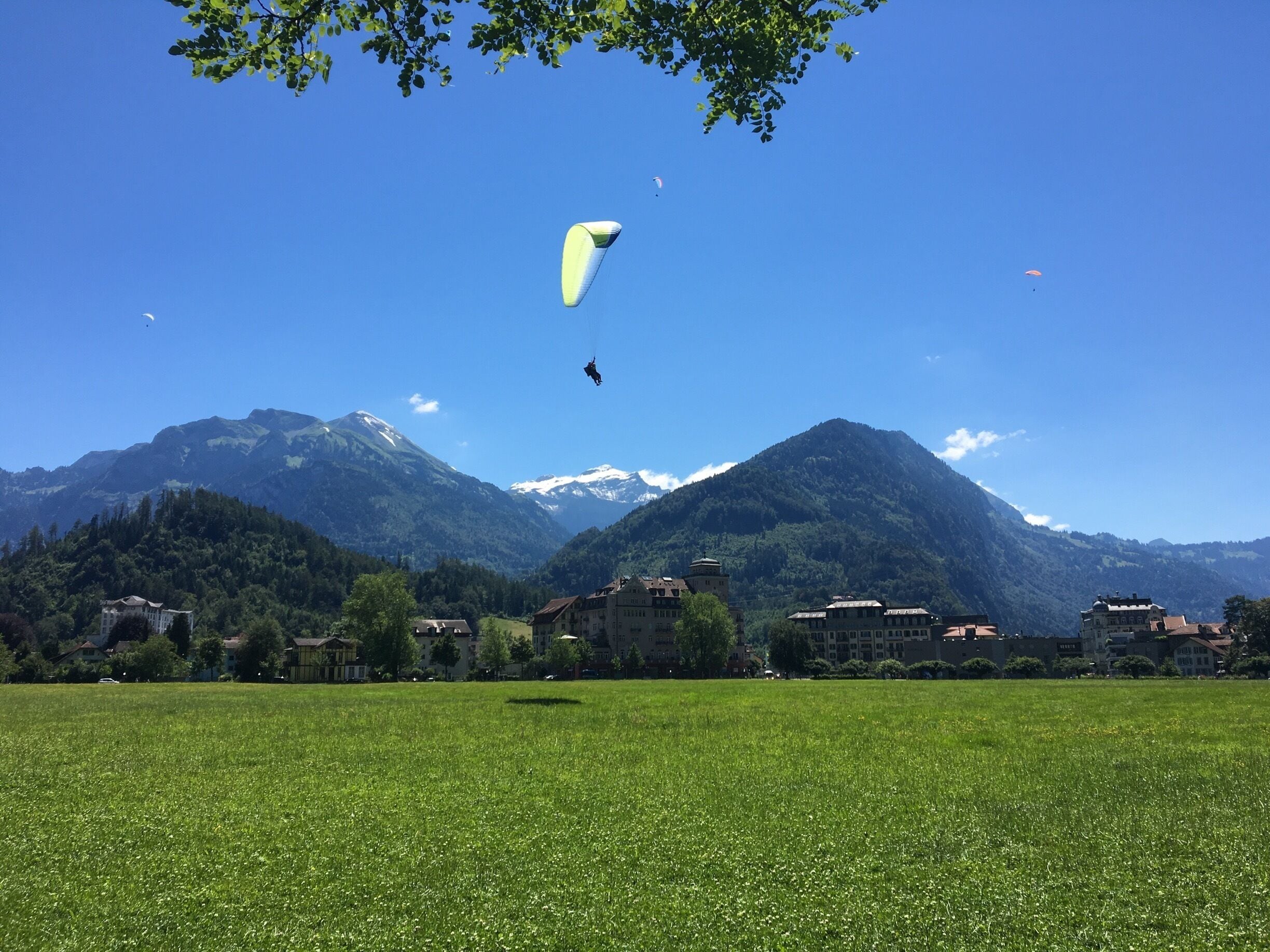 Swiss Alps with a beautiful sky full of tandem paragliders! 