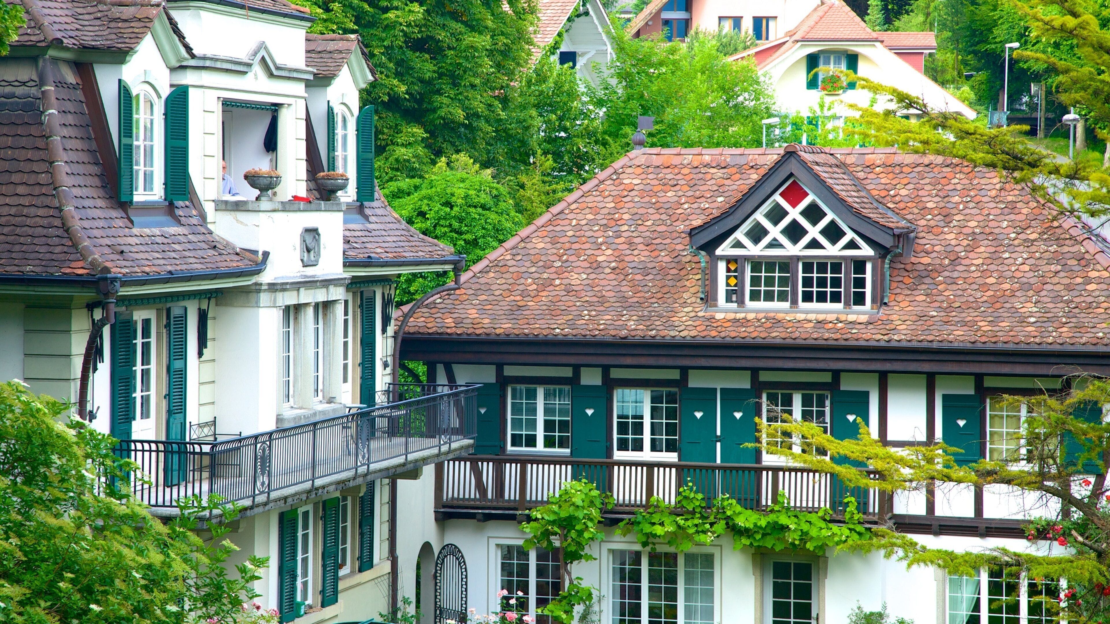 Thun featuring a house and heritage architecture