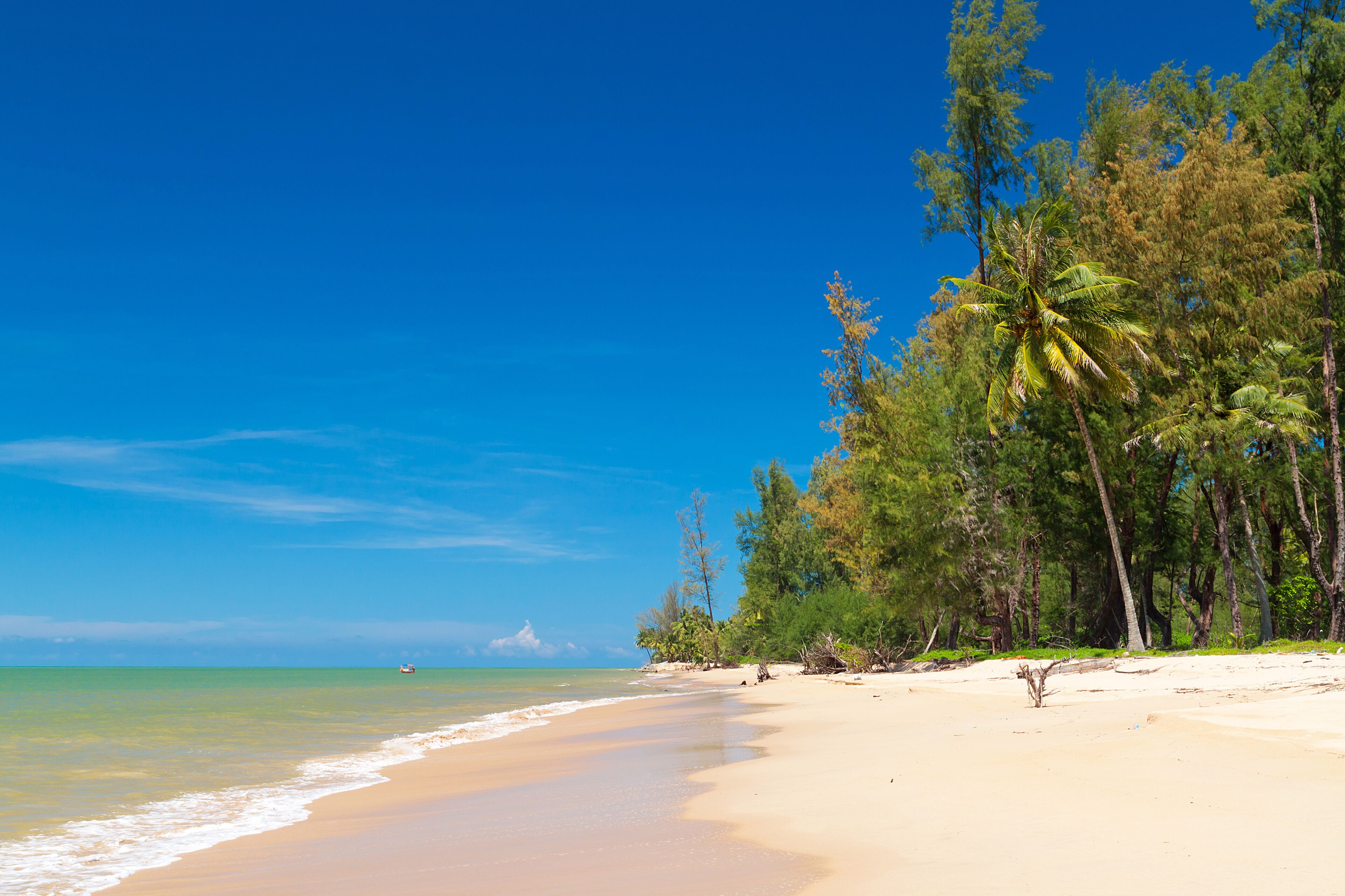 เกาะคอเขา