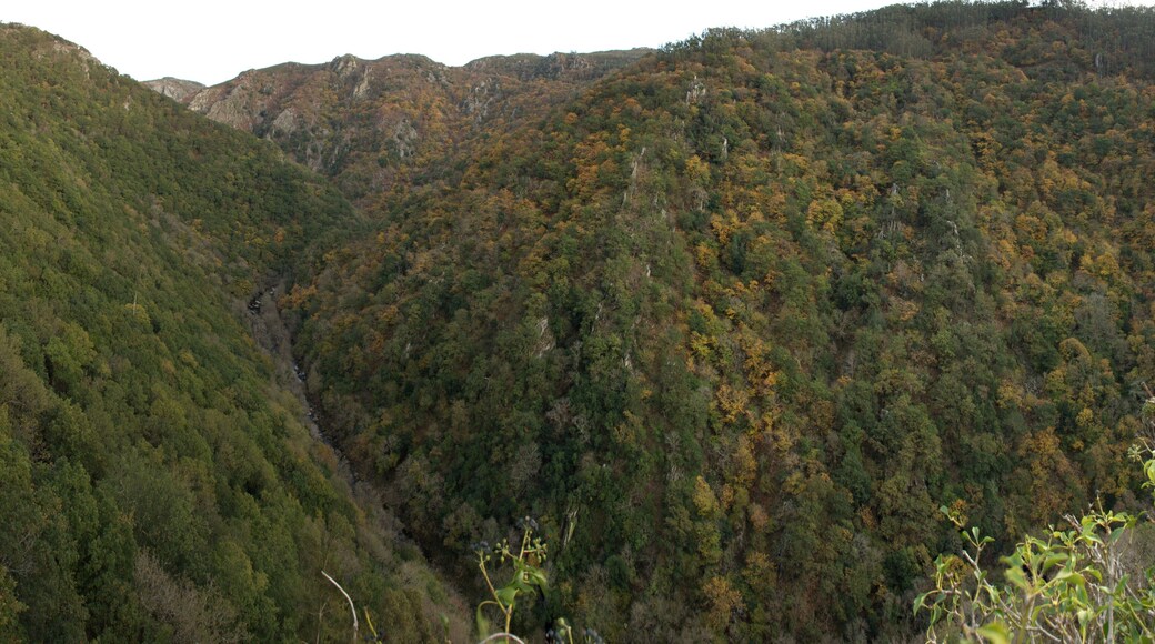 Panoramica do Rio Eume