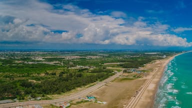 An aerial view of a coastal city with a long beach, dense greenery, and a clear blue sky.