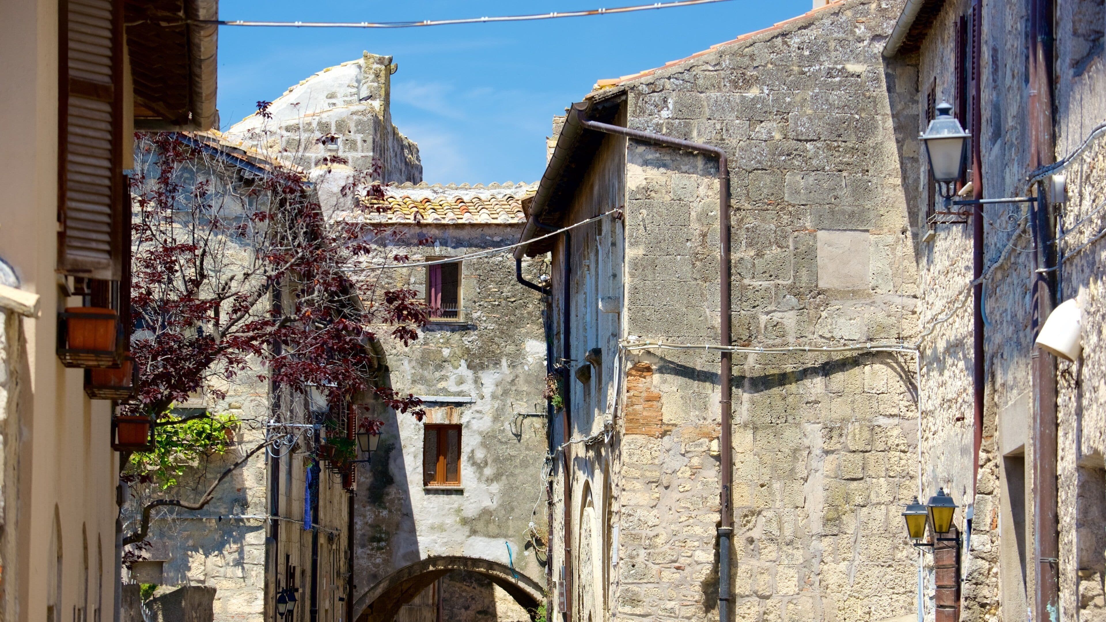 Tarquinia showing heritage architecture