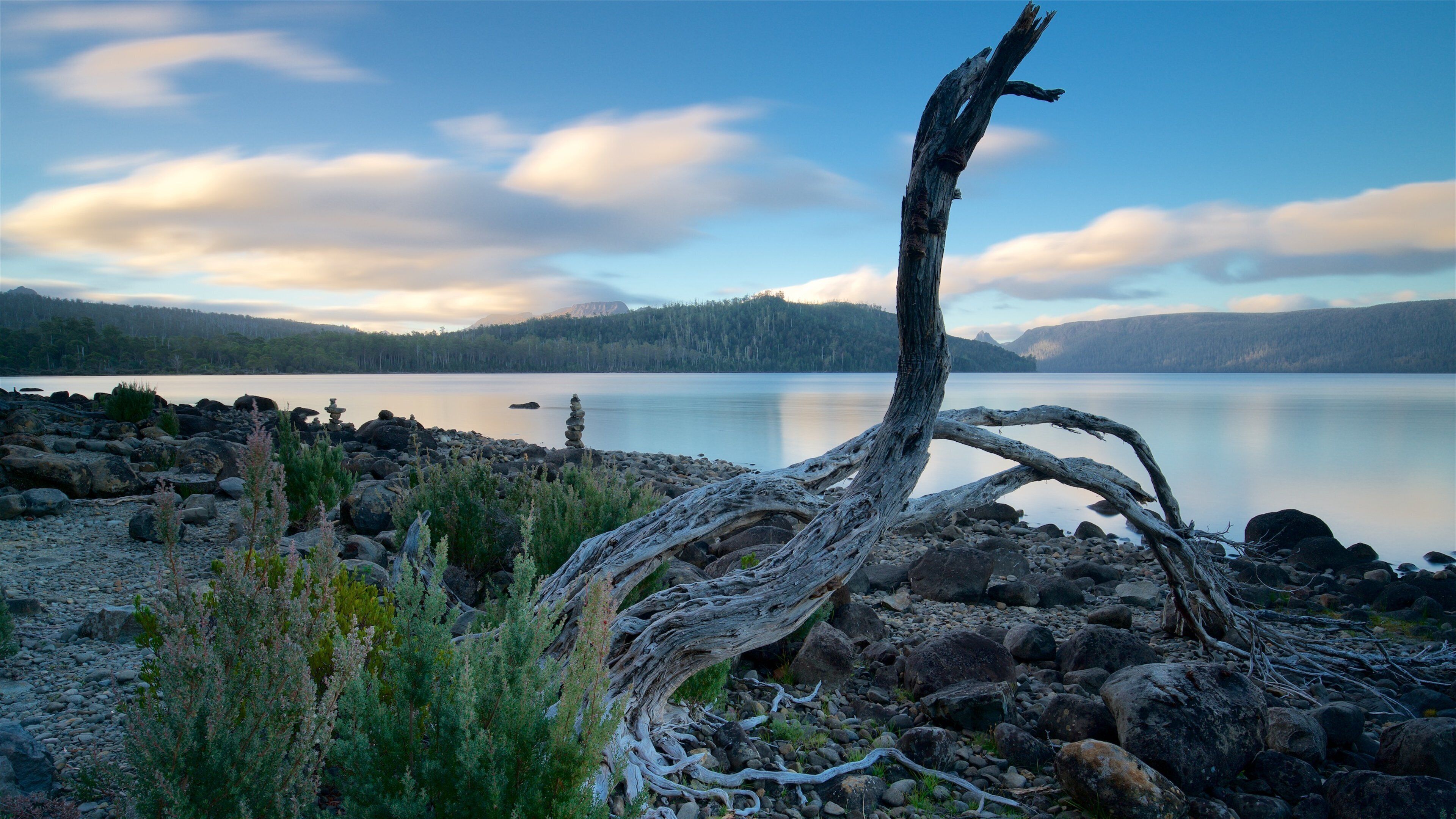 Midlands showing a lake or waterhole